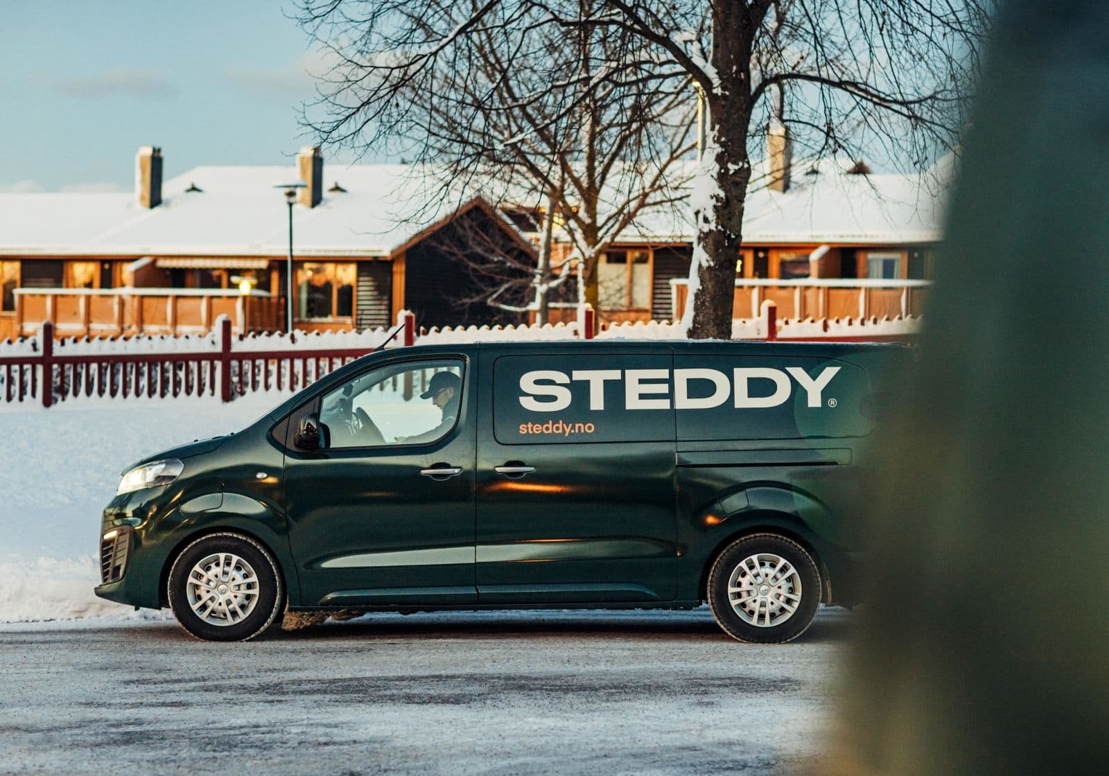 Steddy